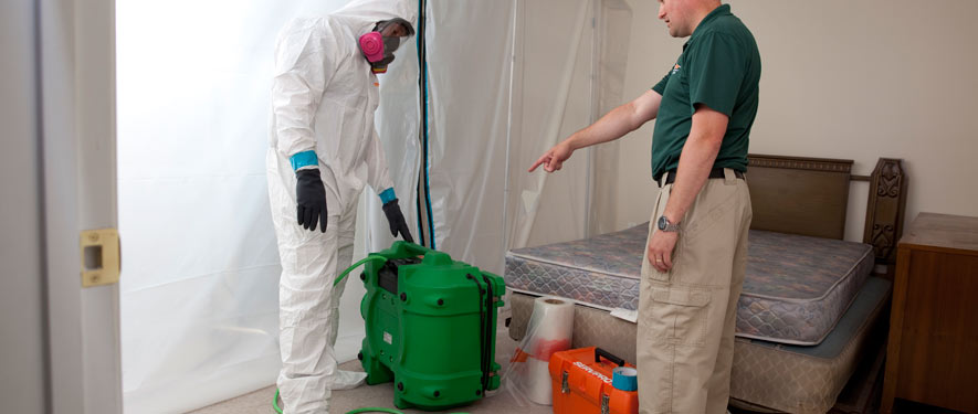 Carbondale, PA mold removal process